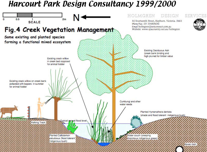 Creek Vegetation Management